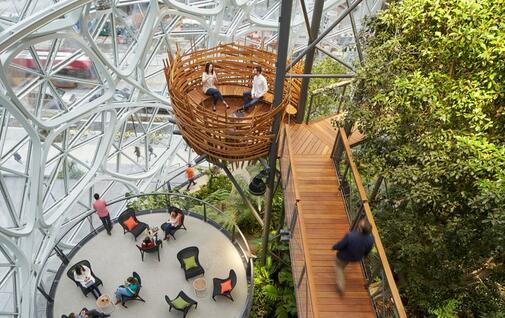  Биофильный дизайн офиса: что это, преимущества и примеры