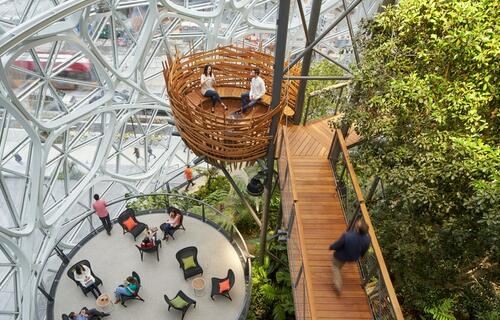 Биофильный дизайн офиса: что это, преимущества и примеры